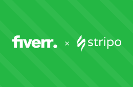 Achieve more with Stripo services on Fiverr